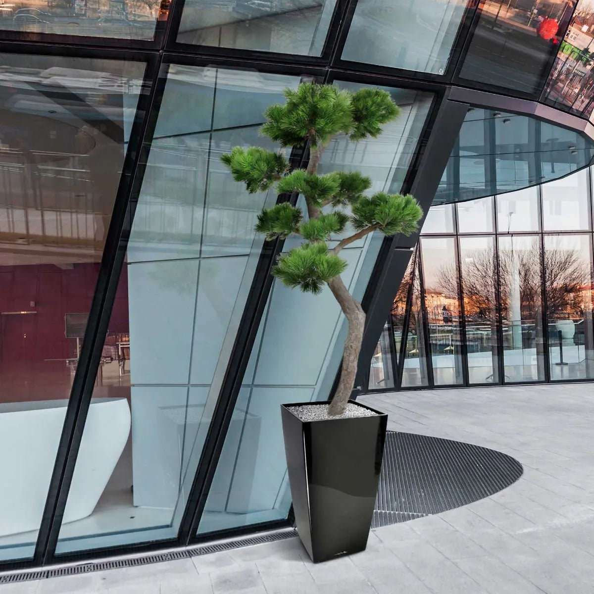 Luxe kunst Pinus Bonsai boom XL met UV-bescherming 