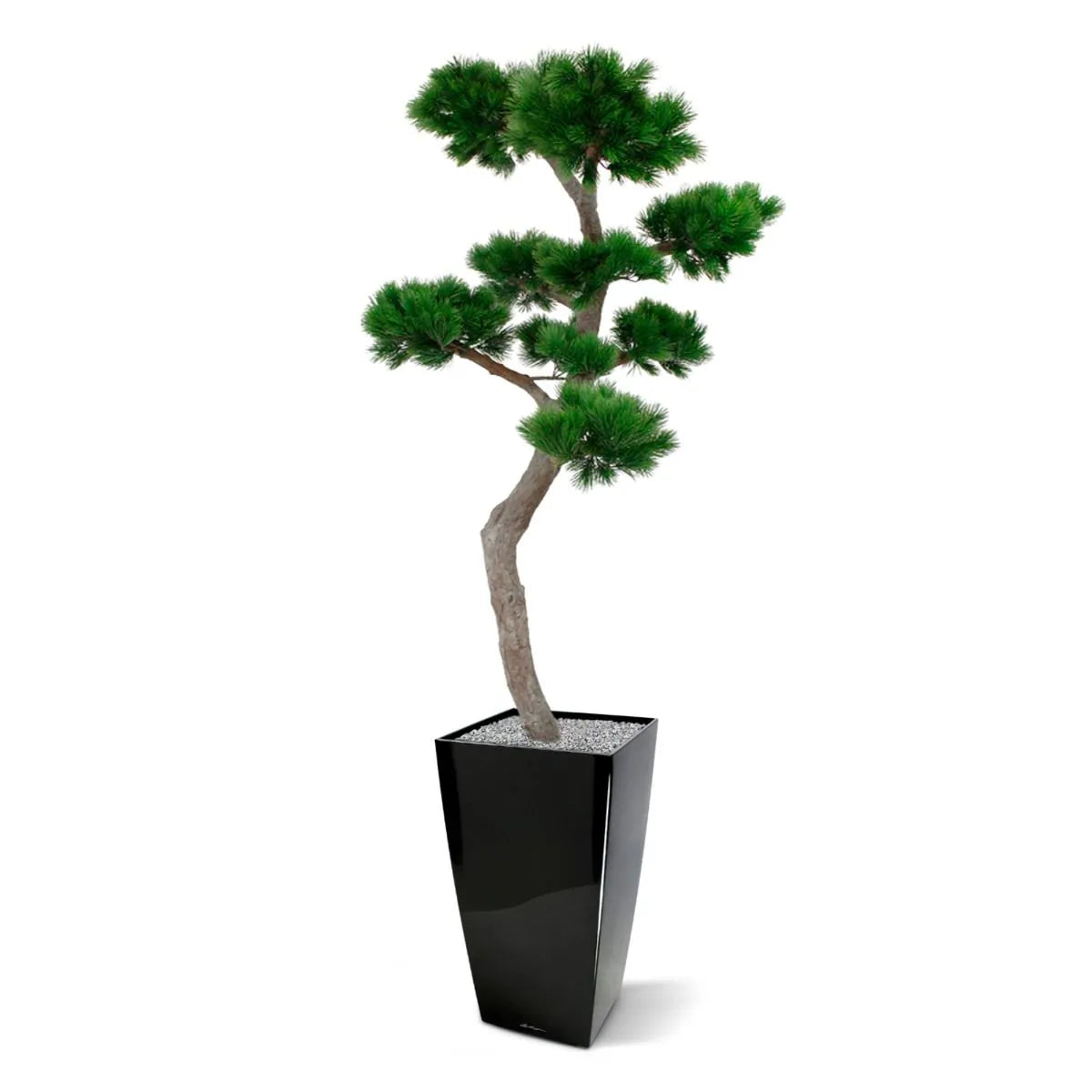 Luxe kunst Pinus Bonsai boom XL met UV-bescherming 