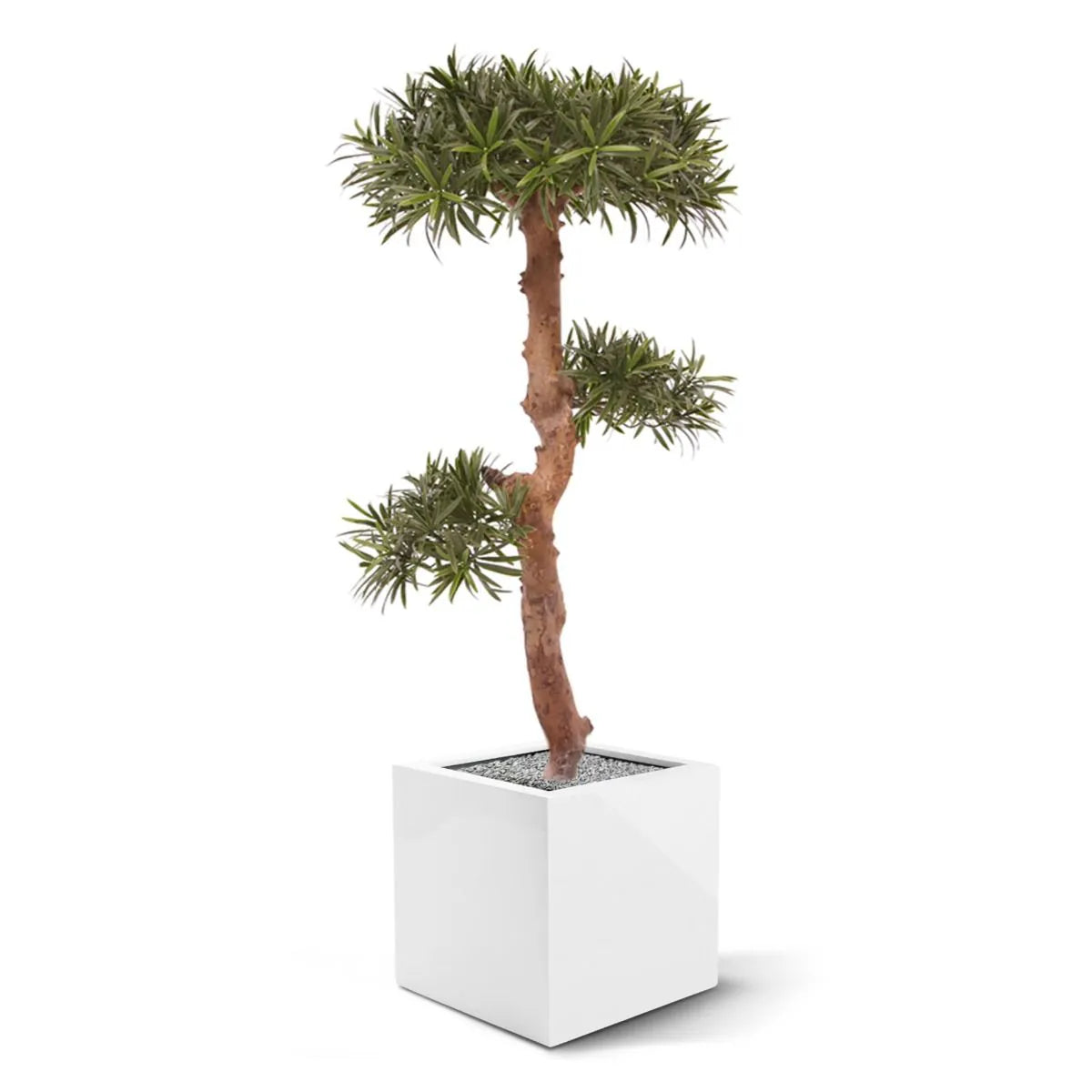 Kunst Podocarpus Bonsaiboom 105 cm UV voor buiten 