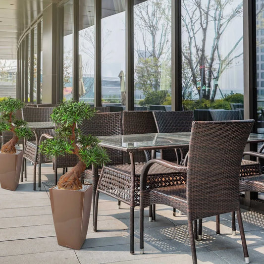 Luxe kunst Podocarpus Bonsai x5 90 cm met UV-bescherming 