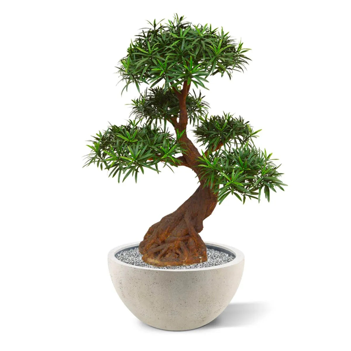 Luxe kunst Podocarpus Bonsai x5 90 cm met UV-bescherming 