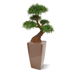 Luxe kunst Podocarpus Bonsai x5 90 cm met UV-bescherming 