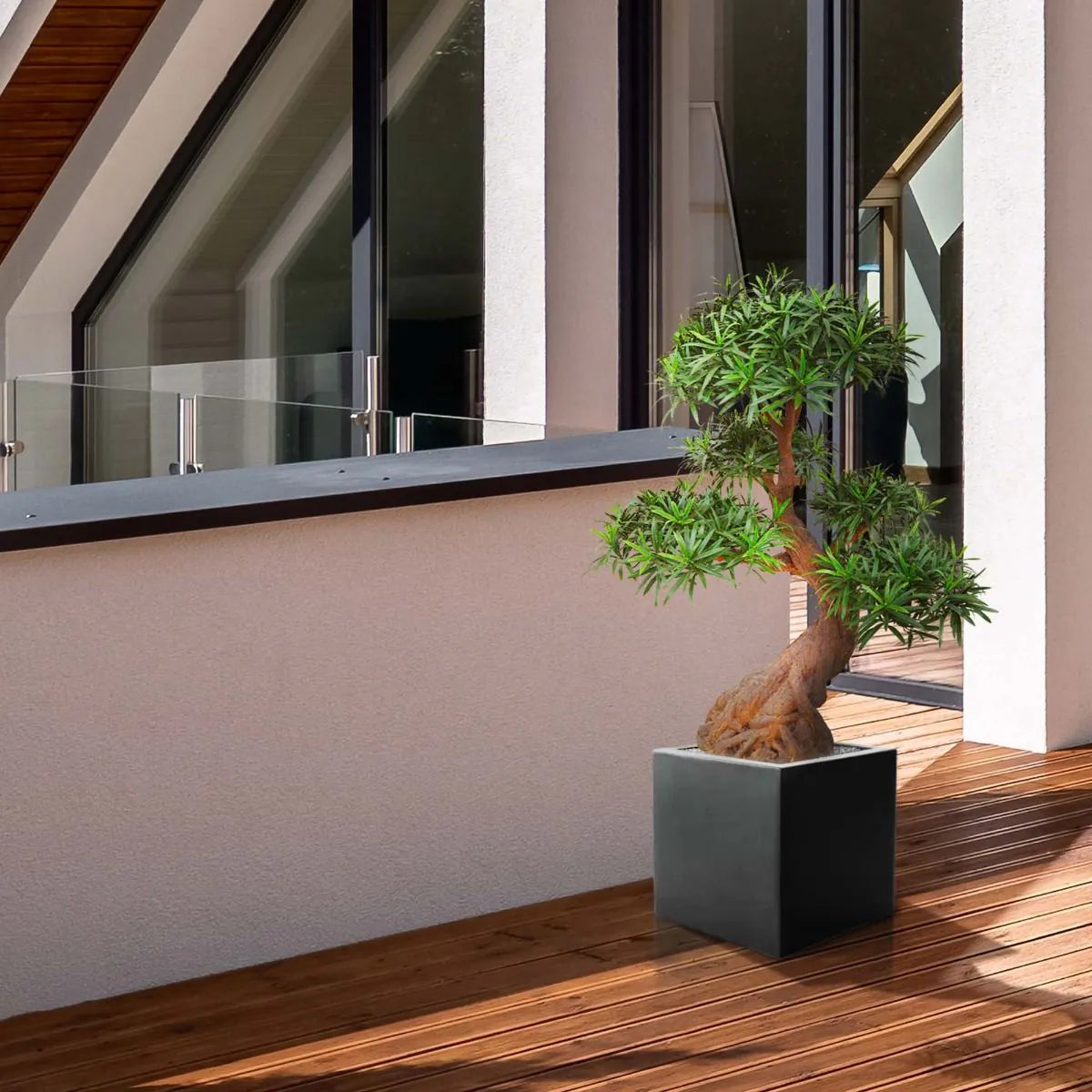 Luxe kunst Podocarpus Bonsai x5 90 cm met UV-bescherming 