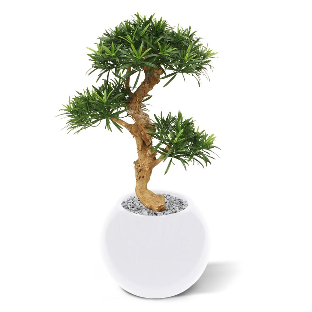 Podocarpus kunstbonsai boom deluxe op voet 65cm