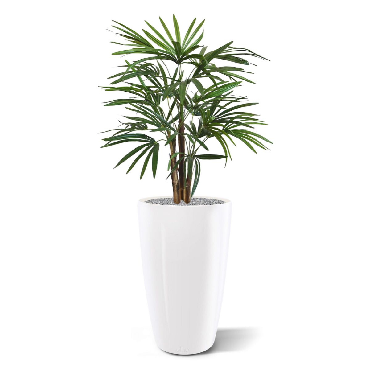 Raphis kunstpalm 75cm