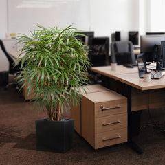 Raphis kunstpalm XL deluxe 130cm