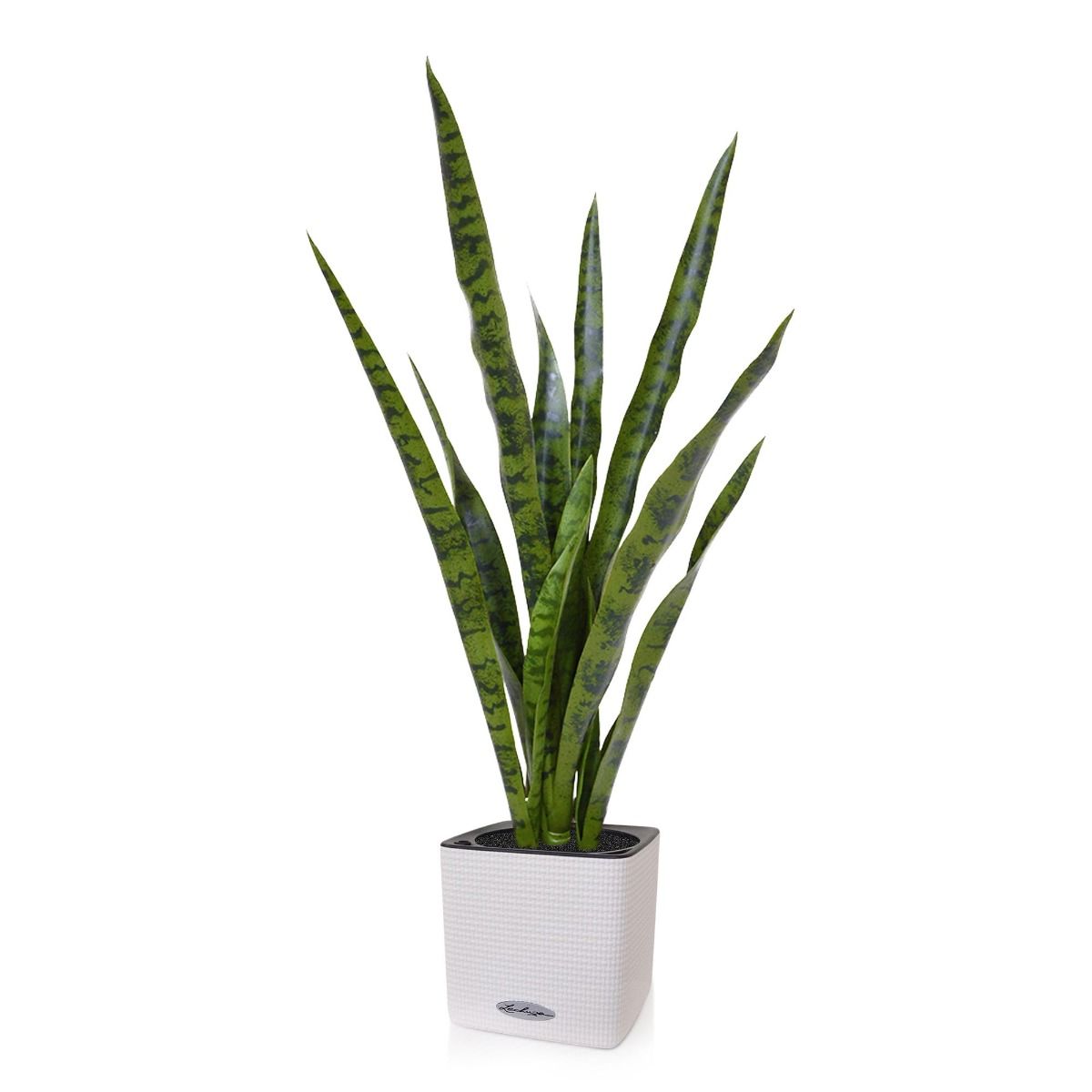 Sansevieria kunstplant 78 cm