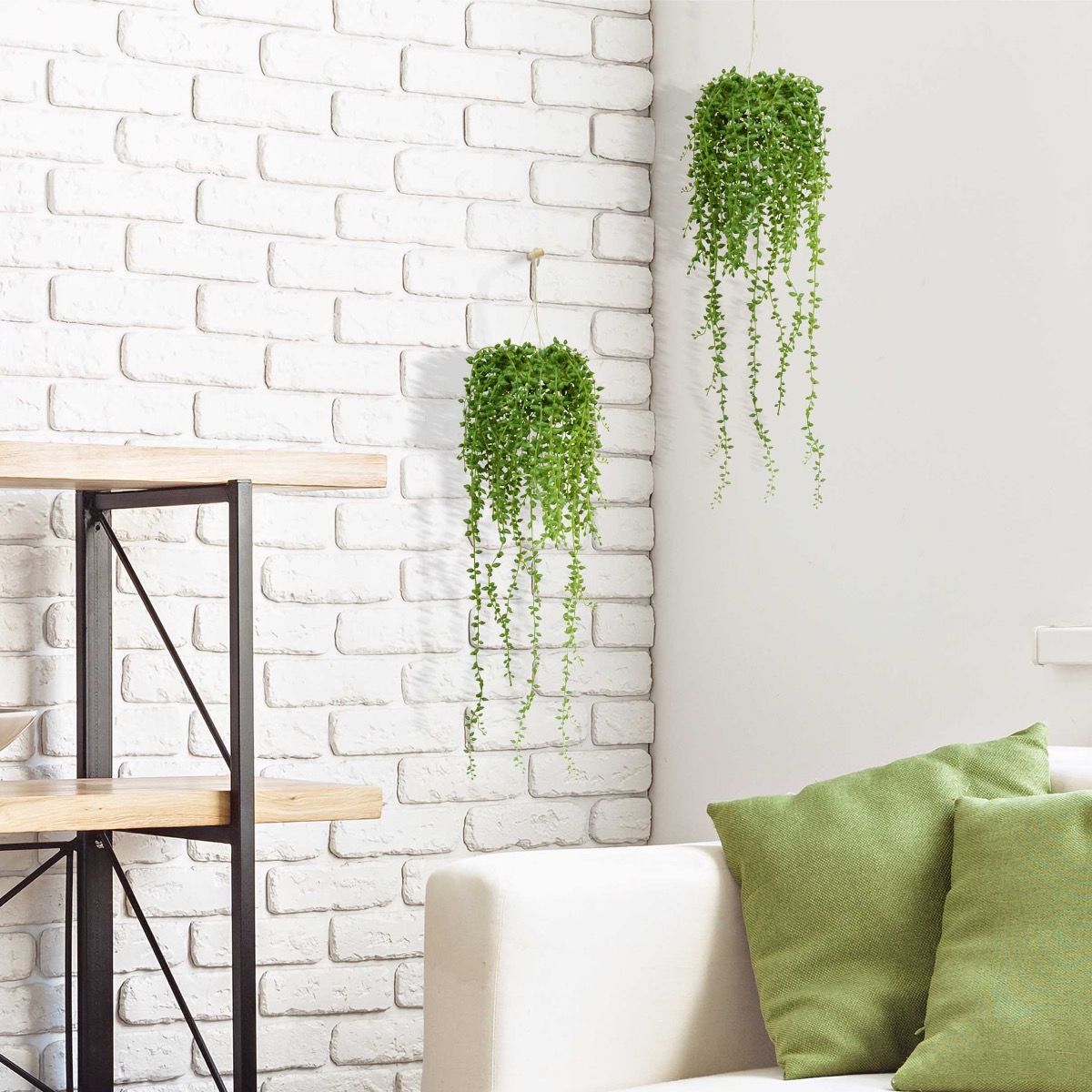 Senecio kunst hangplant 60 cm