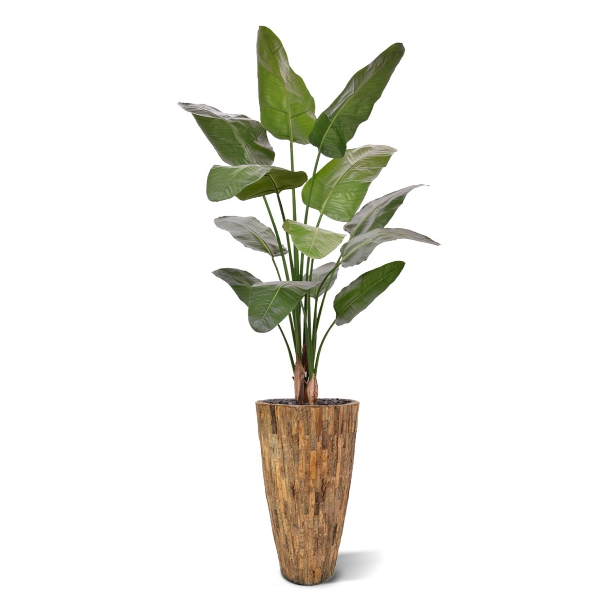 Strelitzia Nicolai deluxe Kunstpalm 170cm in pot