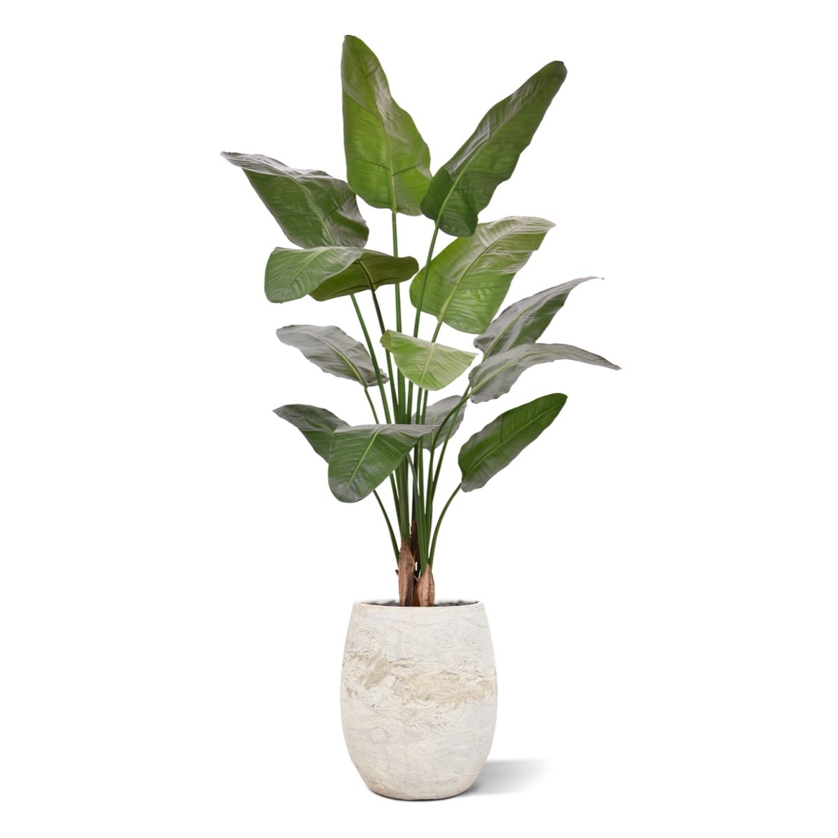 Strelitzia Nicolai deluxe Kunstpalm 170cm in pot