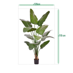 Strelitzia Nicolai deluxe Kunstpalm 170cm in pot
