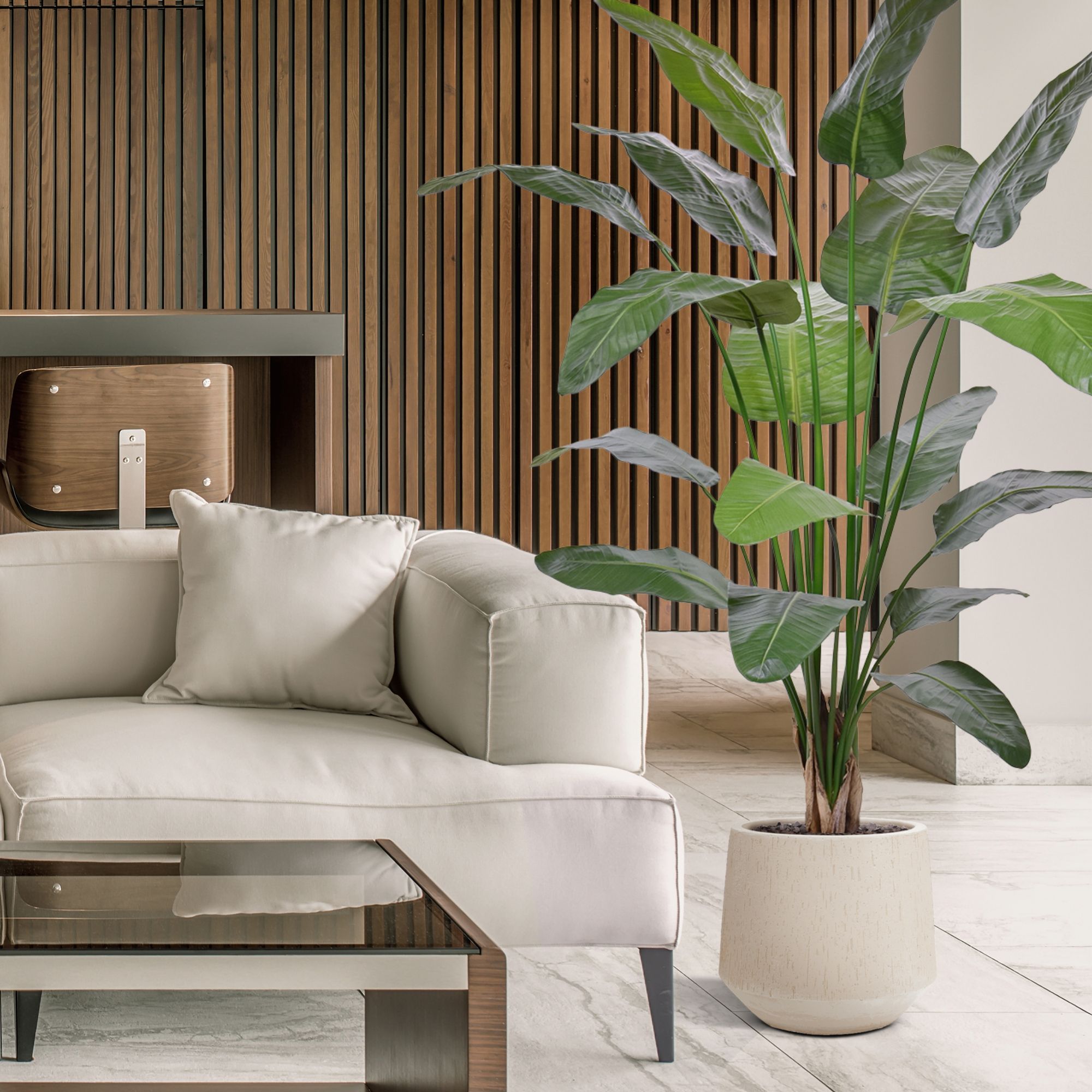 Strelitzia Nicolai deluxe Kunstpalm 200cm in pot