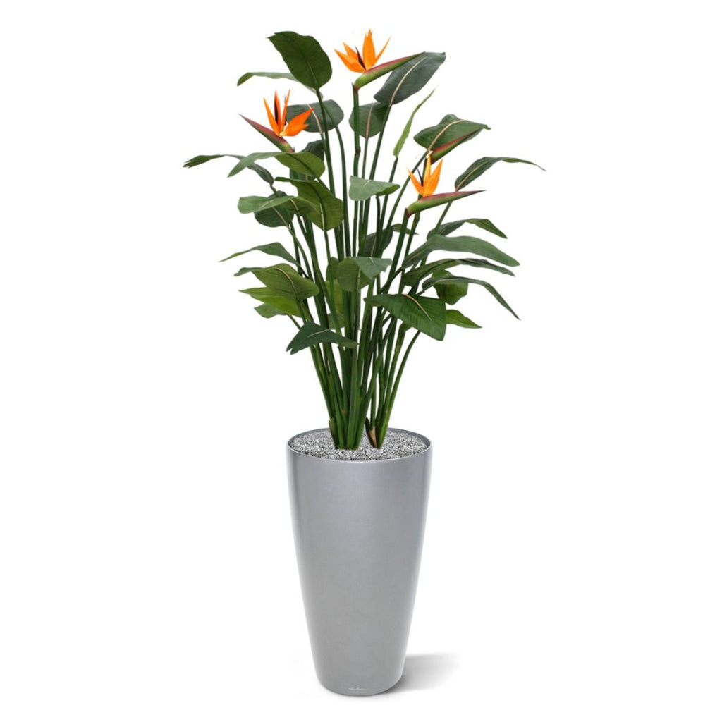 Strelitzia Deluxe kunstplant 145 cm