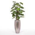 Kunst Pothos klimplant 125 cm deluxe kopen, levensechte klimplant op mospaal, VerdeFlora webshop
