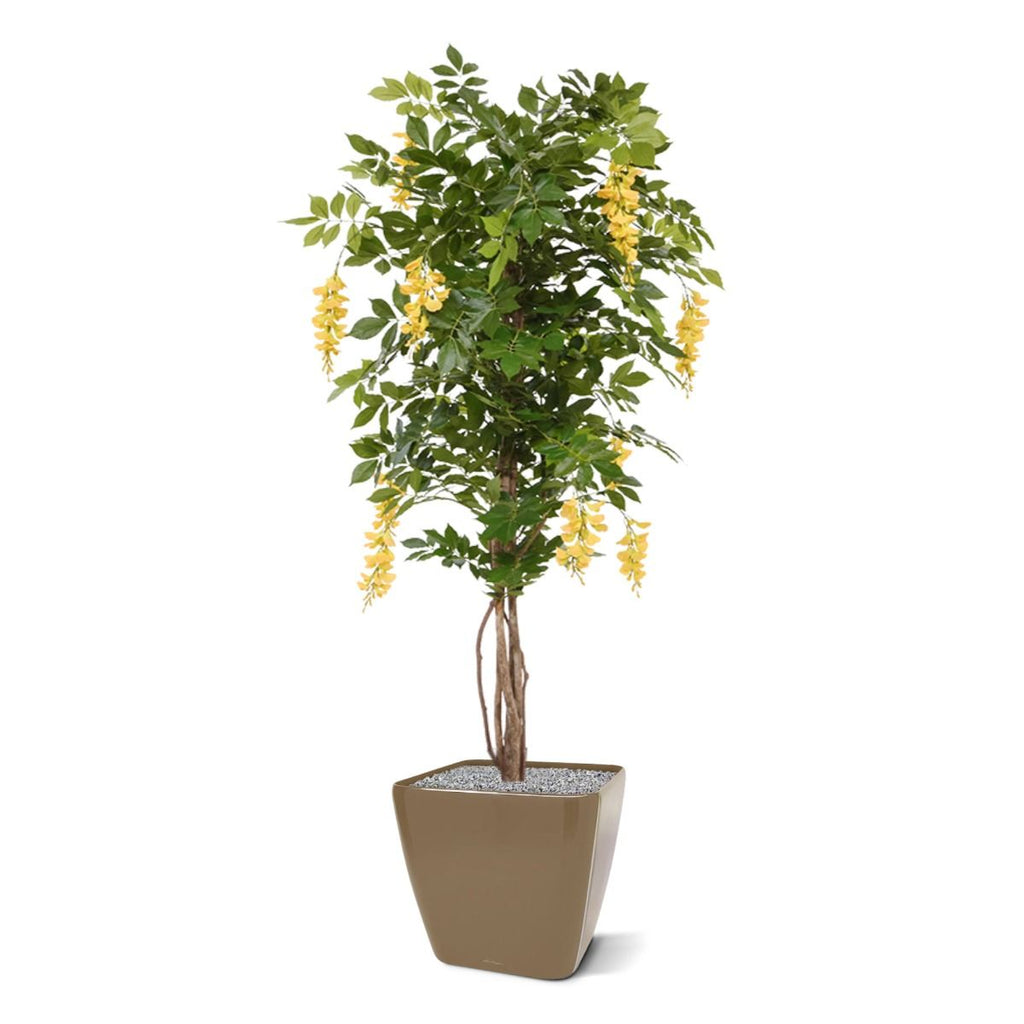 Wisteria kunstboom 150cm - Lila / Geel