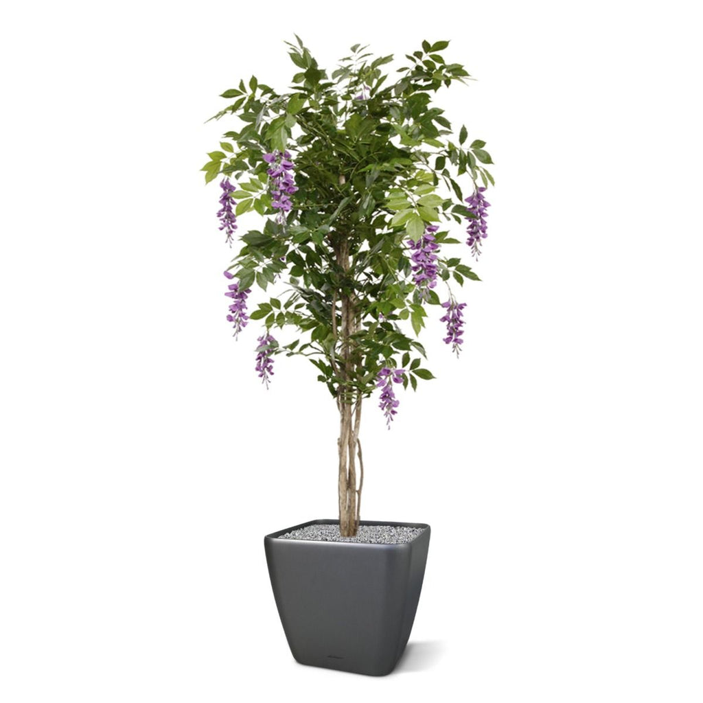 Wisteria kunstboom 150cm - Lila / Geel
