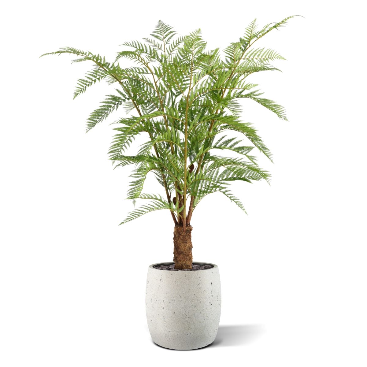 Woodwardia Kunstpalm Deluxe 150cm