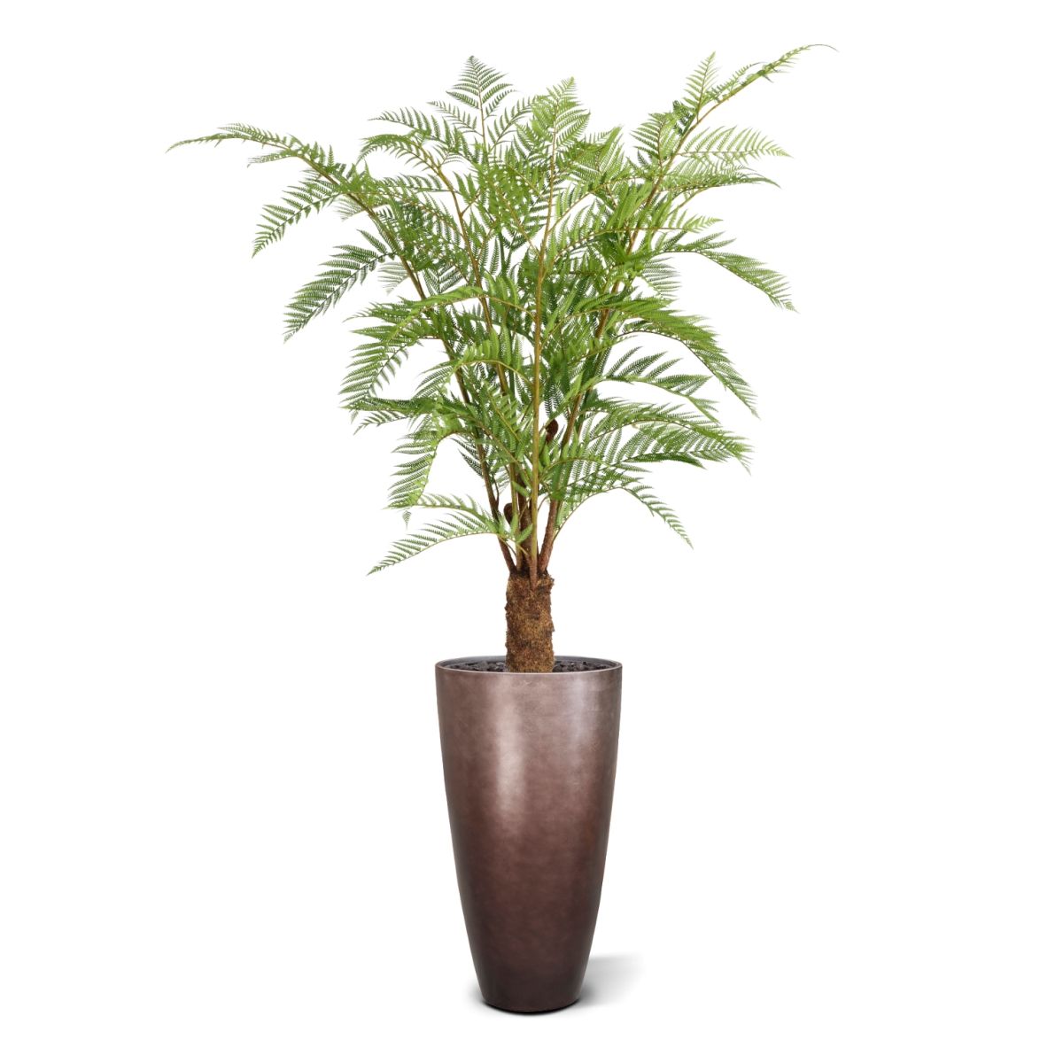 Woodwardia Kunstpalm Deluxe 150cm