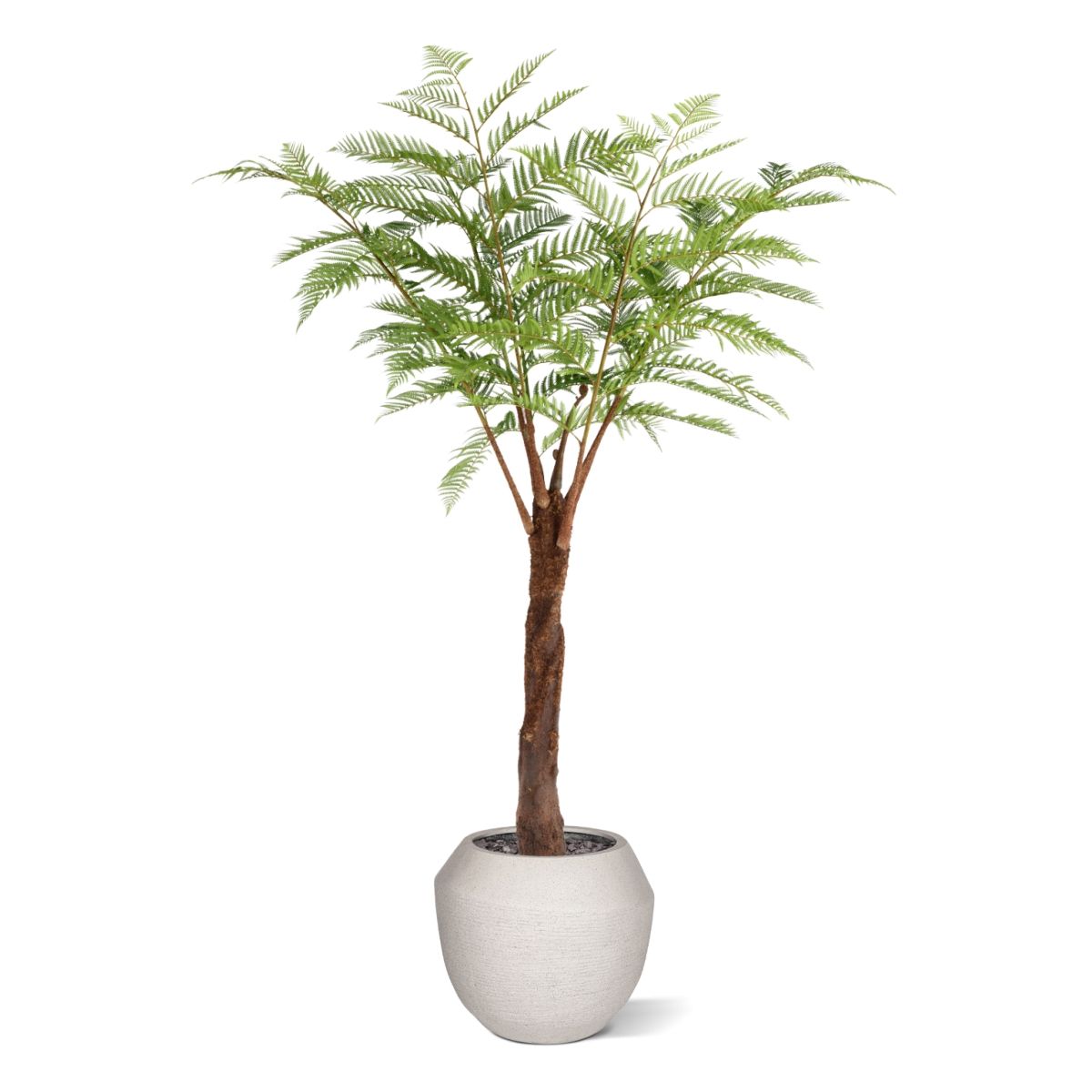 Woodwardia Kunstpalm Deluxe 220cm N