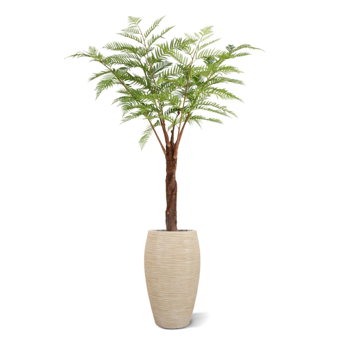 Woodwardia Kunstpalm Deluxe 220cm N