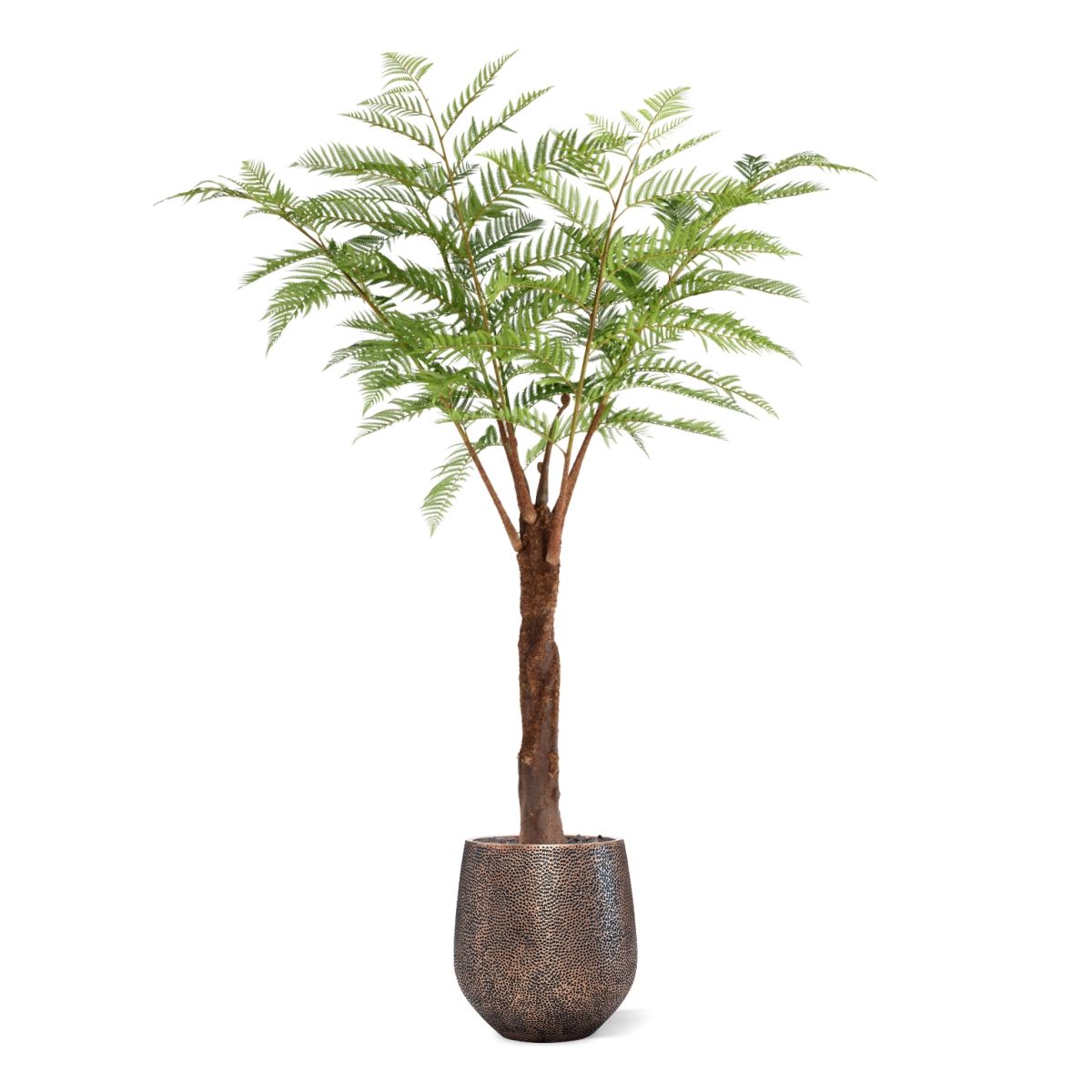 Woodwardia Kunstpalm Deluxe 220cm N