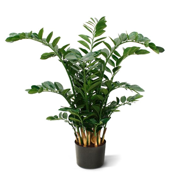 Zamioculcas XL kunstplant 120cm